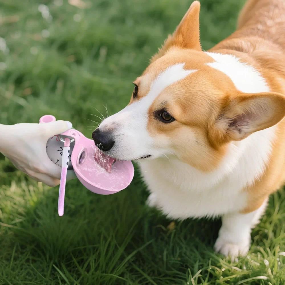 Stainless Steel Dog Water Bottle